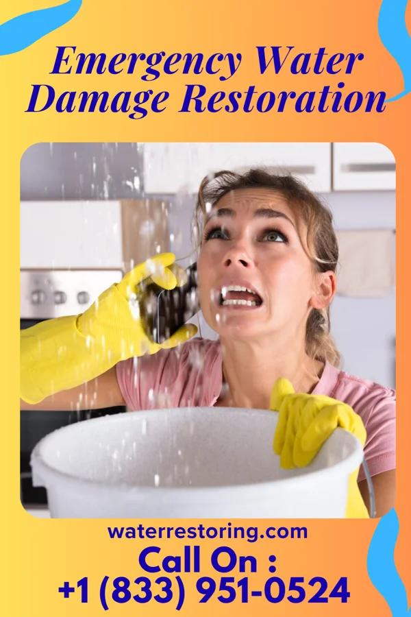 Emergency Water Damage Restoration in The Woodlands, TX