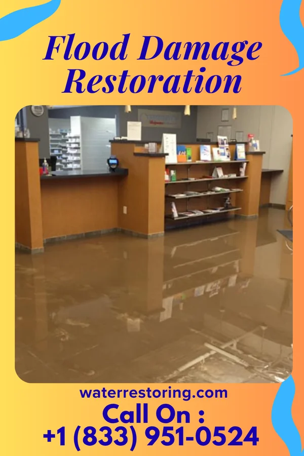 Flood Damage Restoration in The Woodlands, TX